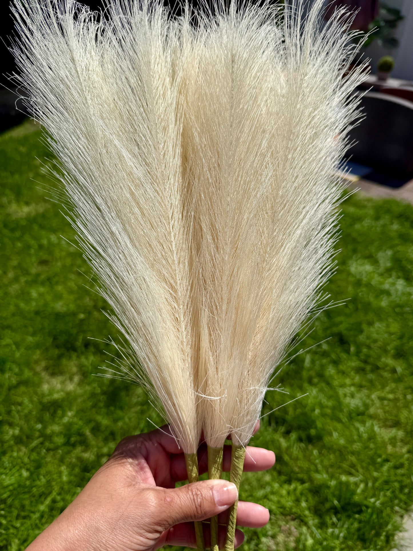 Faux Pampas Stems