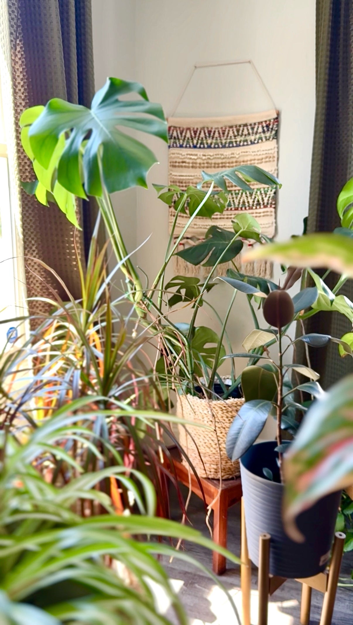 Boho Chindi Wall Macrame