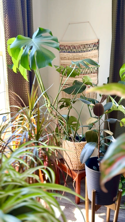 Boho Chindi Wall Macrame